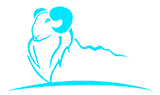 湖州貝斯特包裝